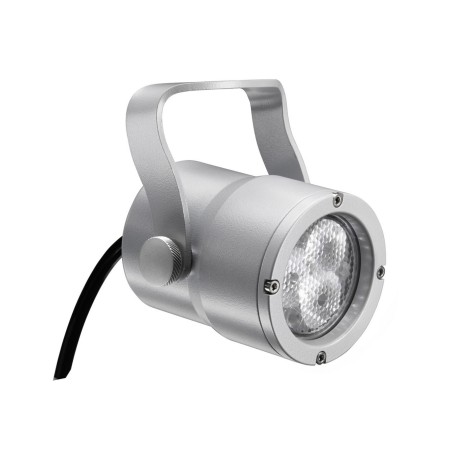 DTS Focus CT - Full AVL Distribution