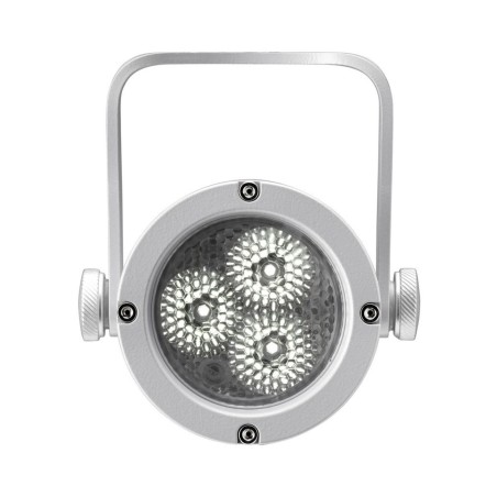 DTS Focus White 12V DC - Full AVL Distribution