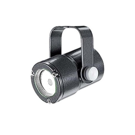 DTS Mini  Focus CT - Full AVL Distribution