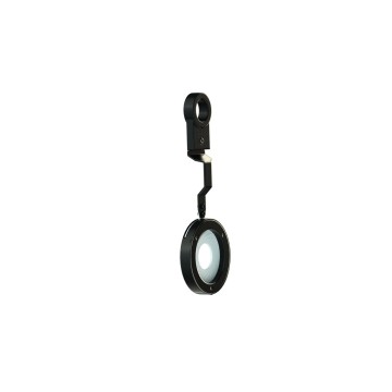 DTS - Soprano 1 Iris
