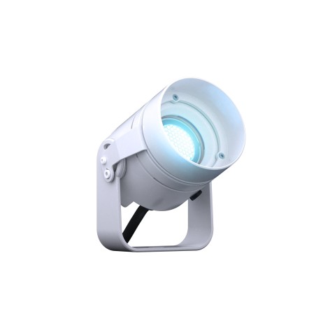 DTS Tophat Doctus 1
