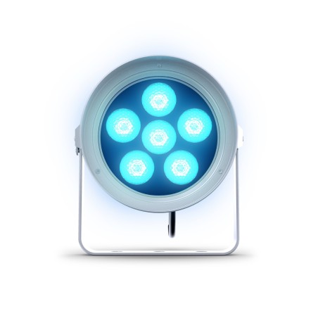 DTS Tophat Doctus 6