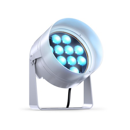 DTS Tophat Doctus 12