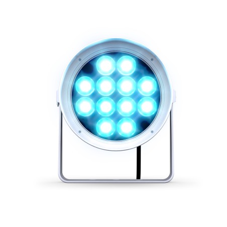 DTS Tophat Doctus 12