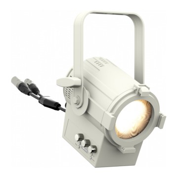 ProLights EclMiniFresnel VW WH