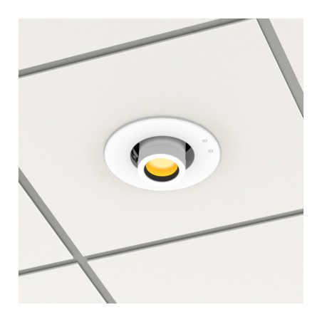 ProLights EclDisplay Flange WH