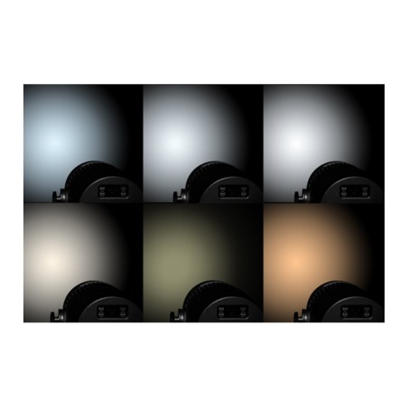 ProLights StudioCob PlusTW