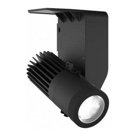 Prolights EclDisplay CASVW