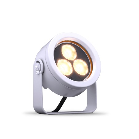 DTS Doctus 3 Plug-In