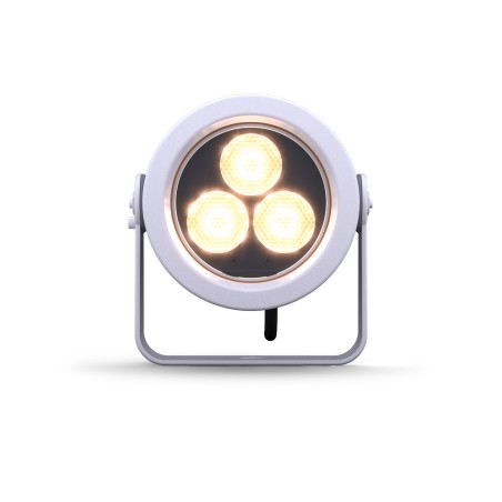 DTS Doctus 3 Plug-In