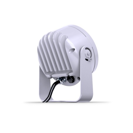 DTS Doctus 3 Plug-In