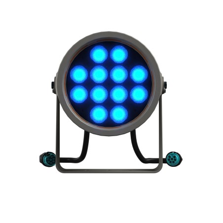 DTS Doctus.S 12 FC