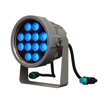 DTS Doctus.S 12 FC