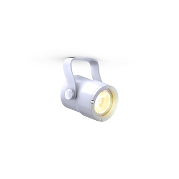 DTS Focus 1 Pinspot WH
