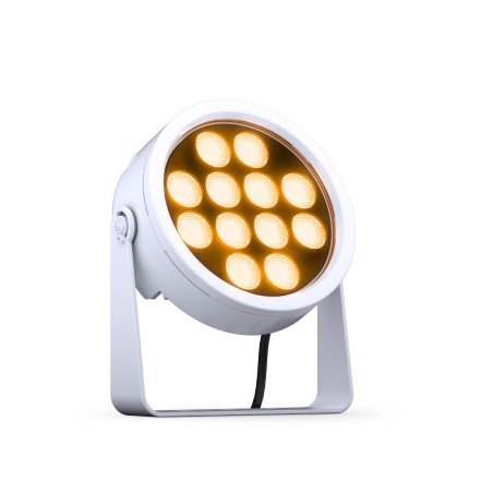 DTS Doctus 12 HQS